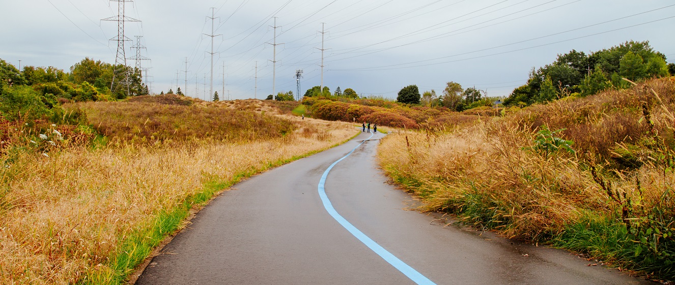 a new section of The Meadoway trail from Military Trail to Morningside Avenue