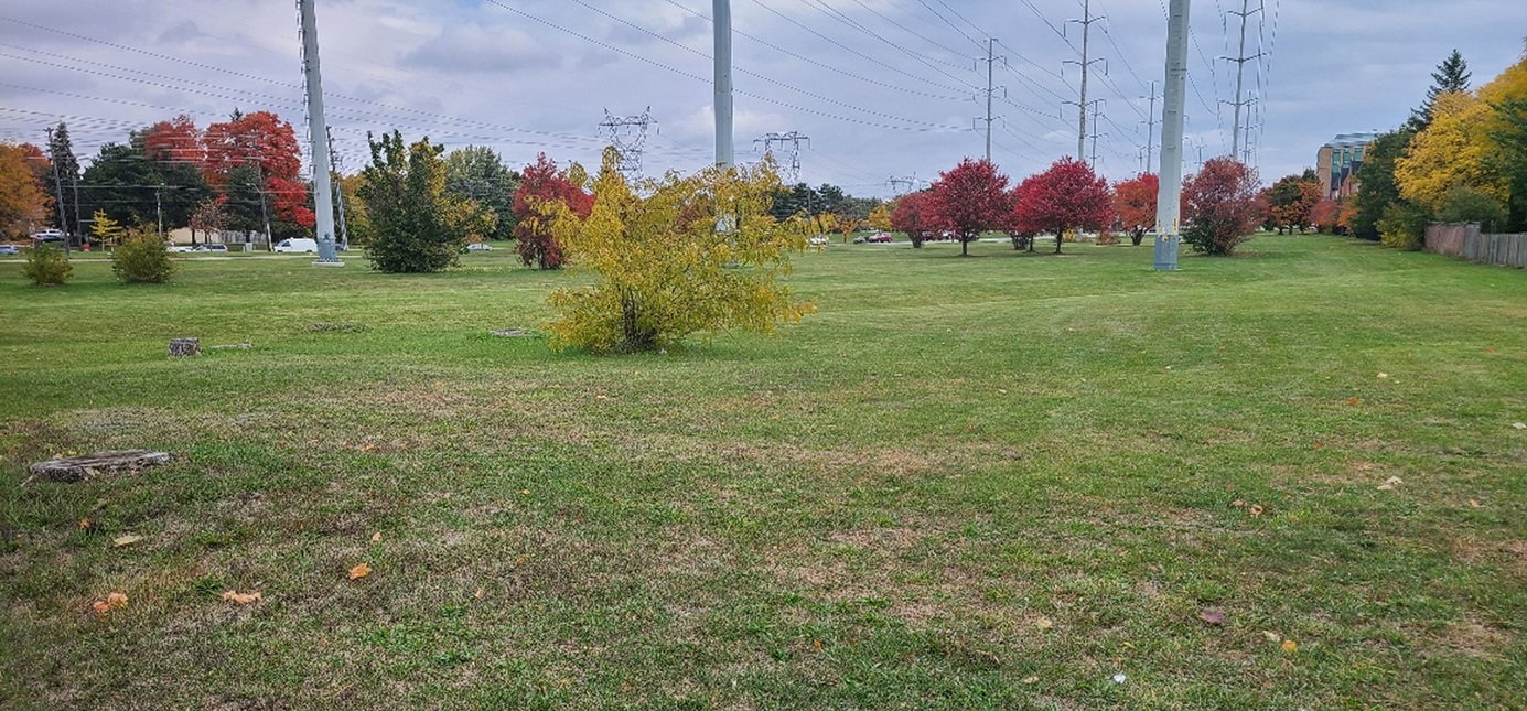 a section of the Gatineau Hydro Corridor in 2022 prior to meadow restoration
