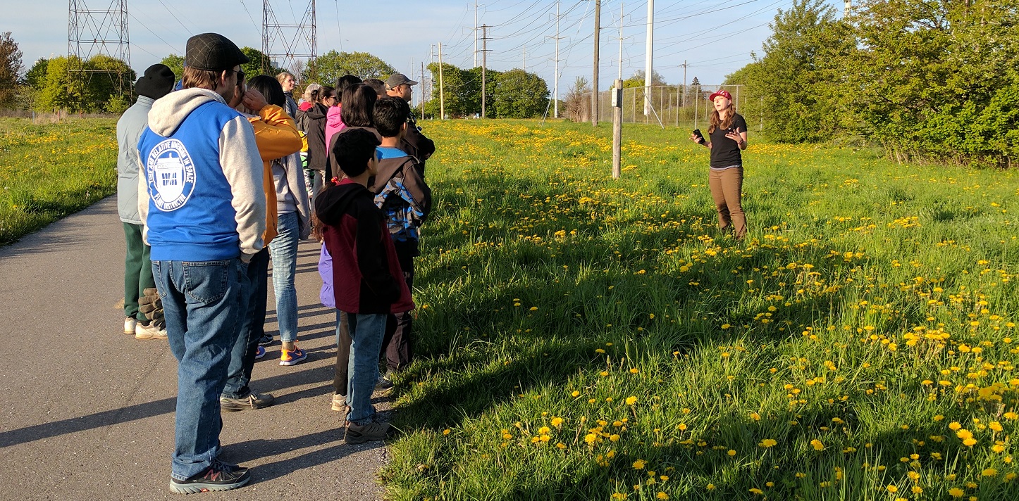 community group tours The Meadoway with TRCA staff member