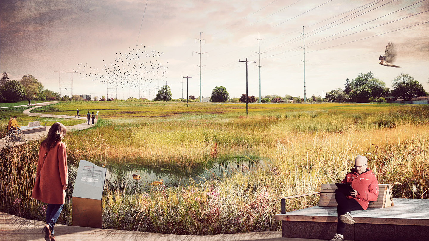 Artist rendering of wetland area after completion of The Meadoway