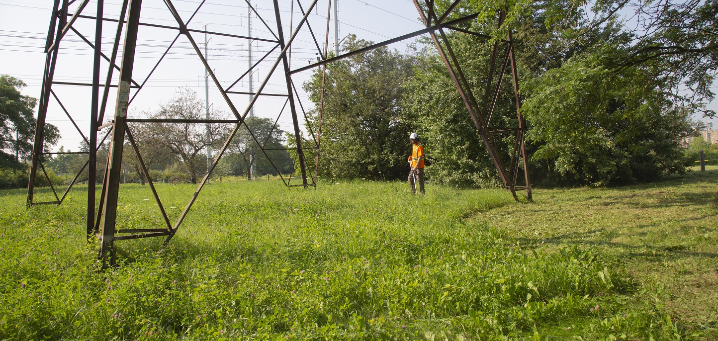 TRCA restoration team member mowing grass in The Meadoway