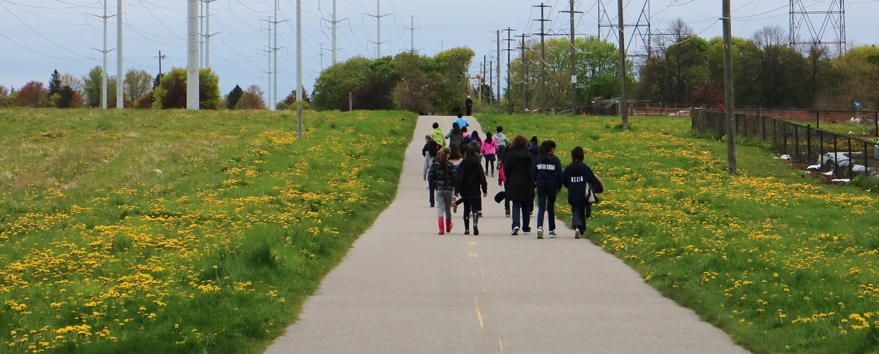 school group on field trip to The Meadoway