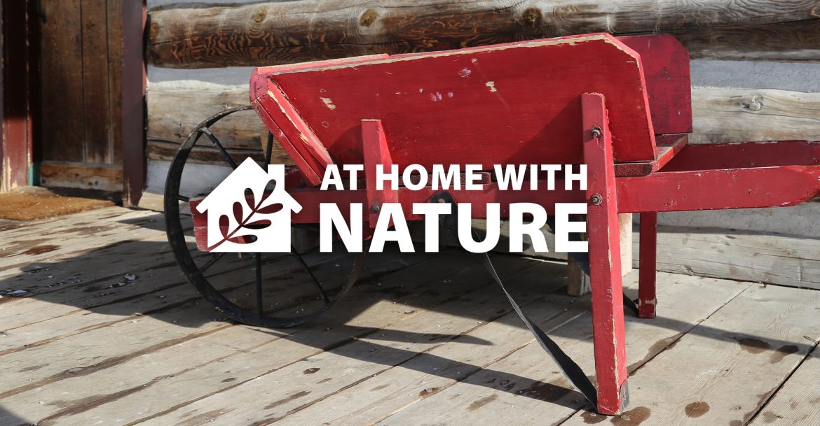 At Home With Nature - Wheelbarrow