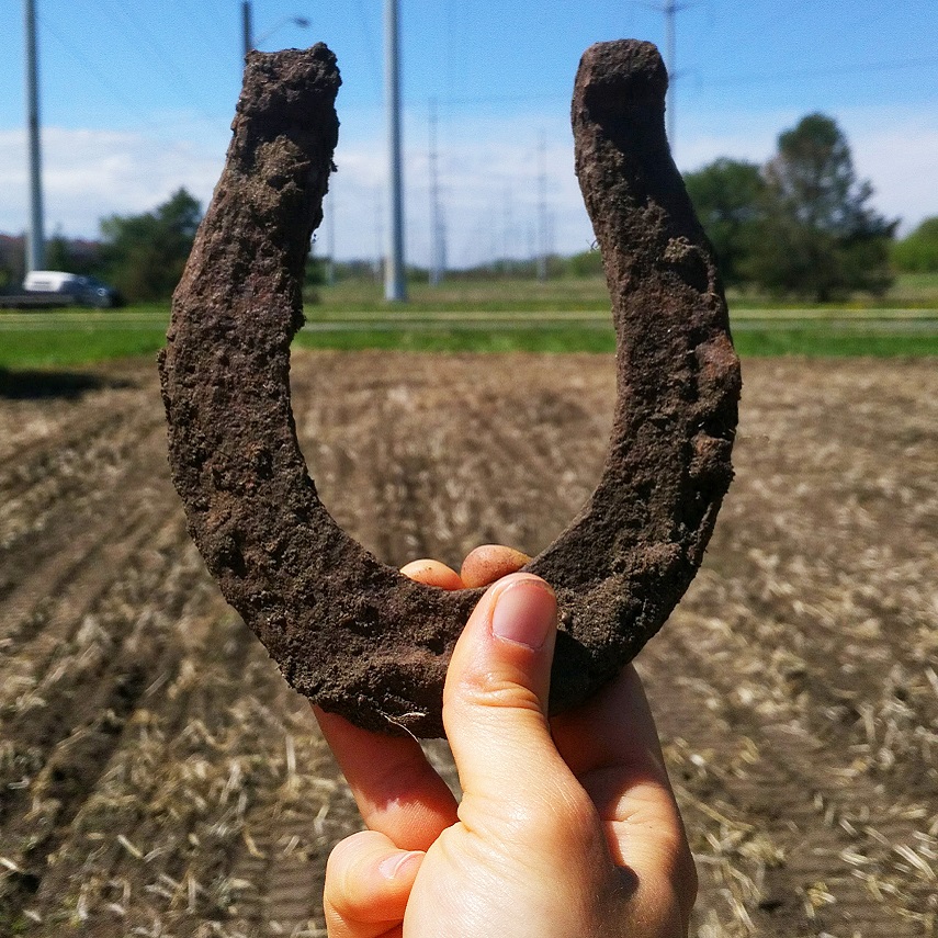 horseshoe unearthed during restoration work in The Meadoway