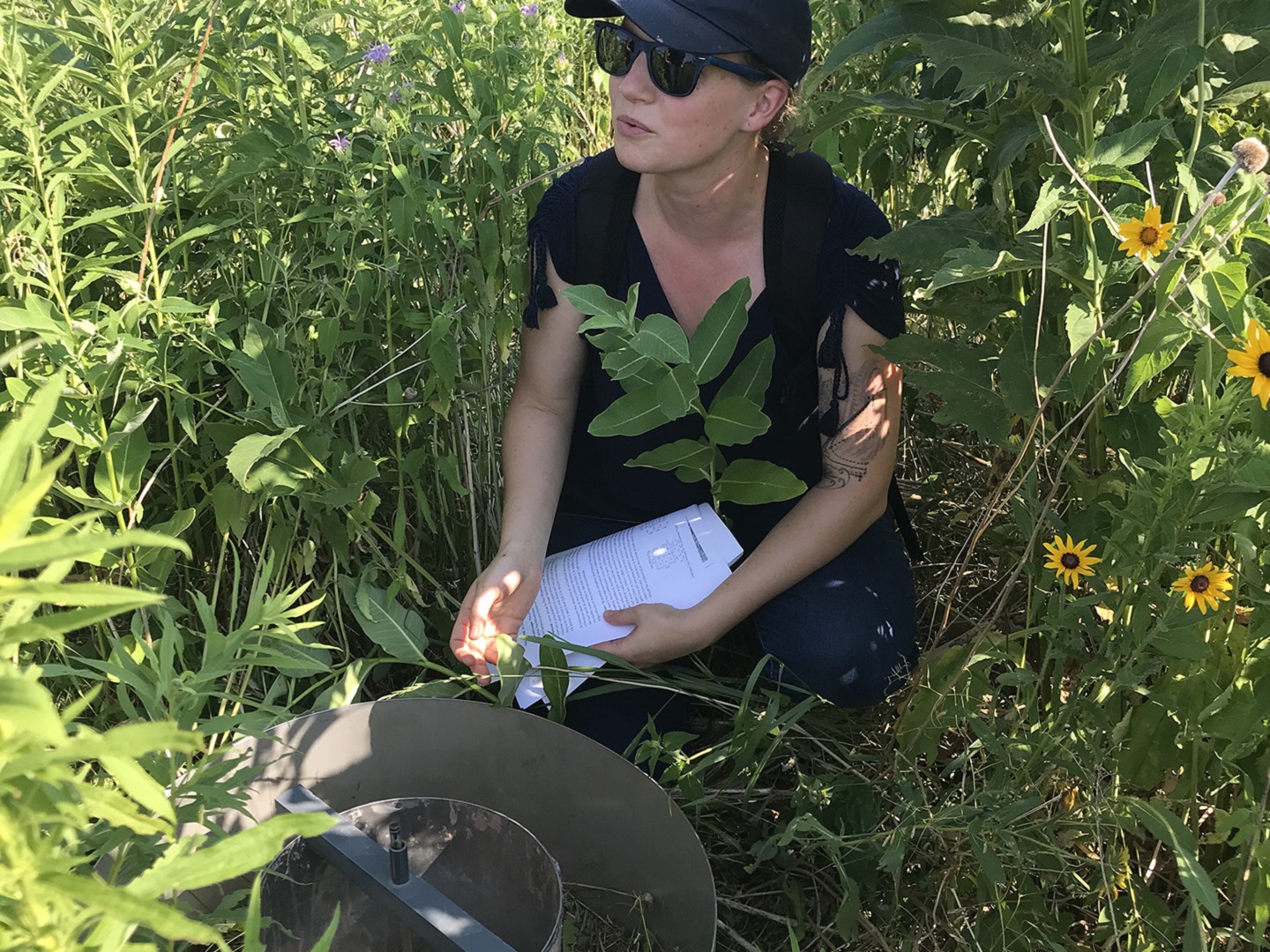 TRCA restoration team member helps to conduct infilatration rate research in The Meadoway