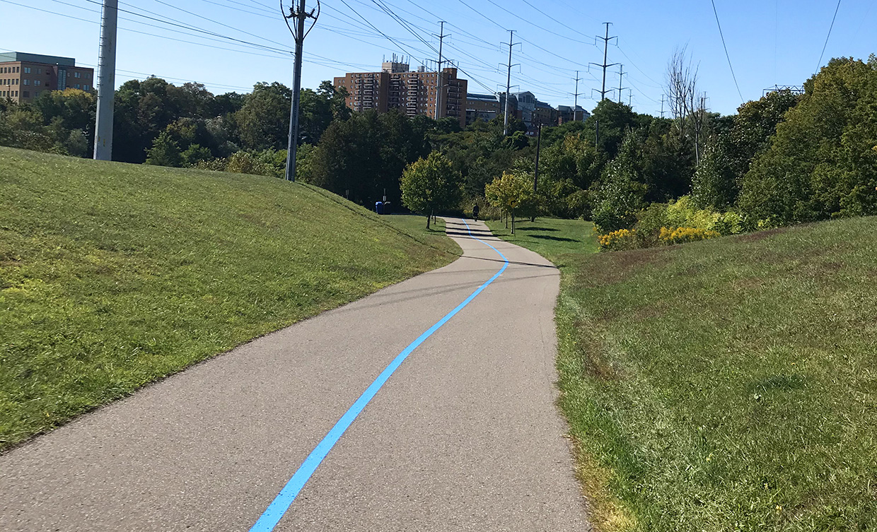 bright blue line painted down middle of multi-use trail in The Meadoway