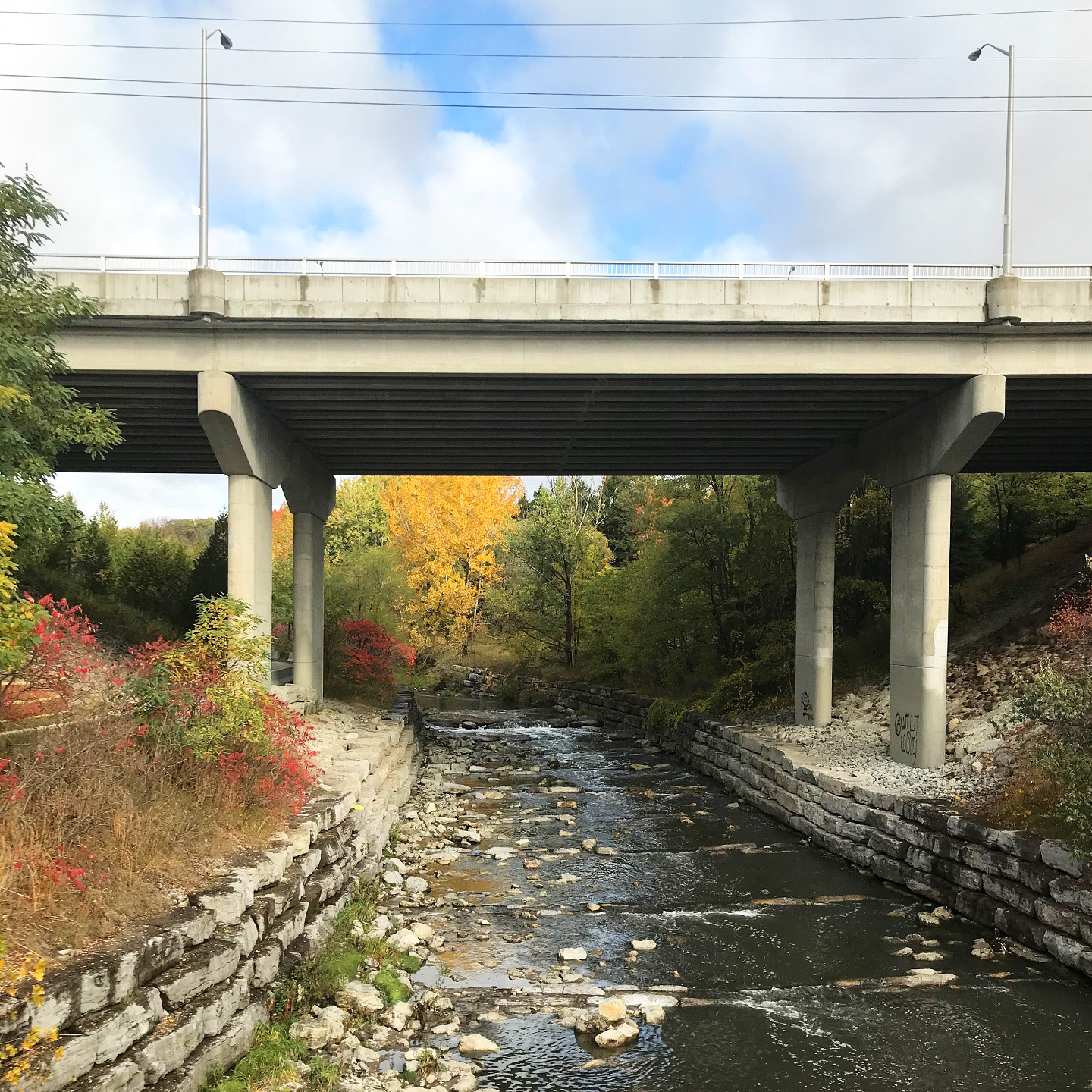 overpass spans Highland Creek