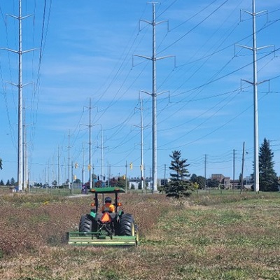 TRCA field staff conduct restoration work in The Meadoway