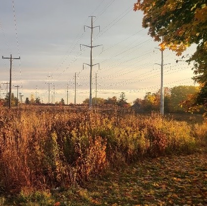 The Meadoway in autumn