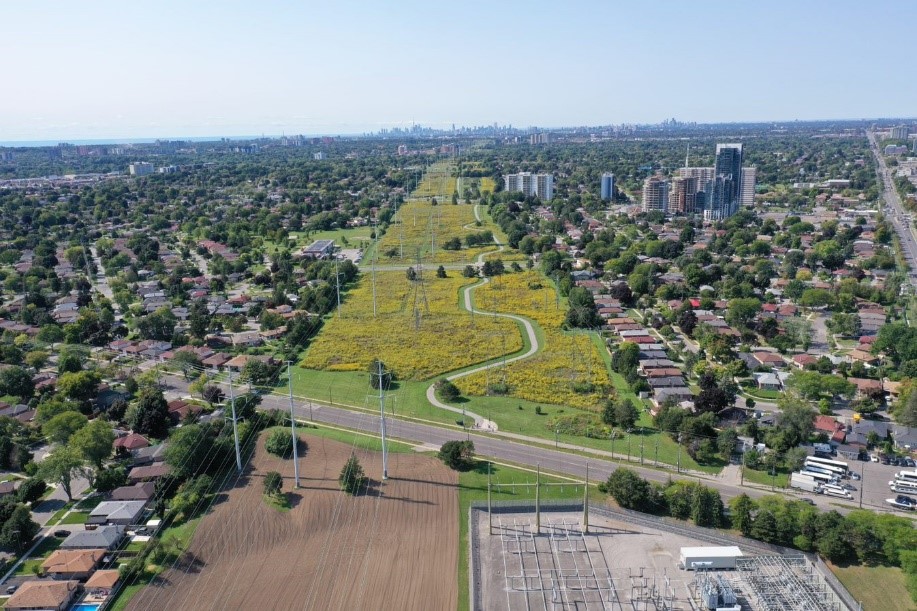 aerial view of section 4 of The Meadoway before restoration