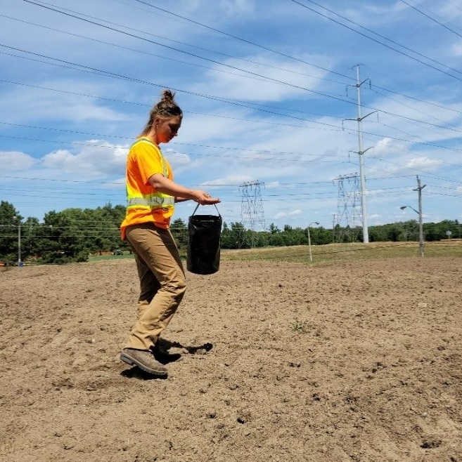 TRCA restoration team members seeds a stretch of The Meadoway