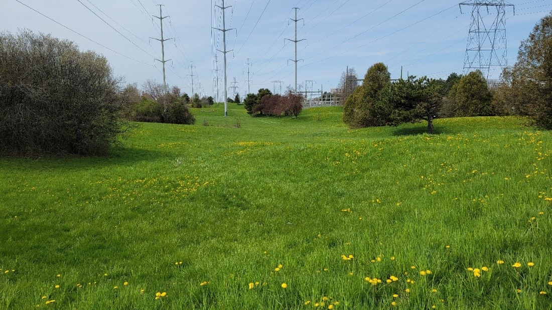 section 5 of The Meadoway before restoration work commenced