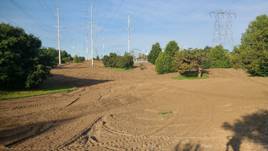 section 5 of The Meadoway after restoration work commenced