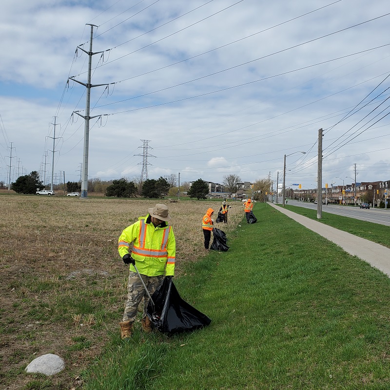 TRCA team members conduct litter cleanup in The Meadoway