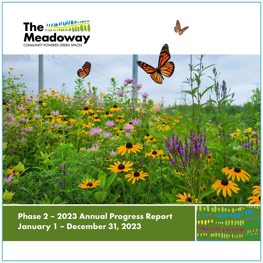 The Meadoway Phase 2 Annual Progress Report 2023