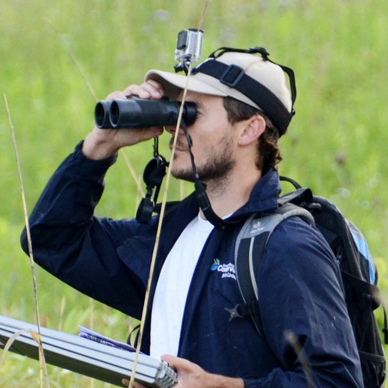 The Meadoway - Vegetation Bird and Butterfly Monitoring - 2016 and 2018 to 2020