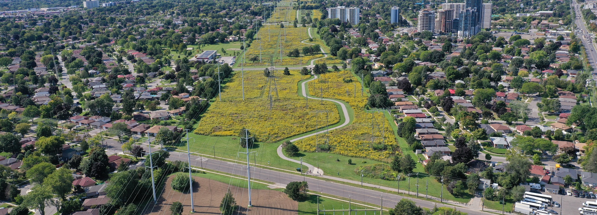 aerial view of The Meadoway restoration in progress