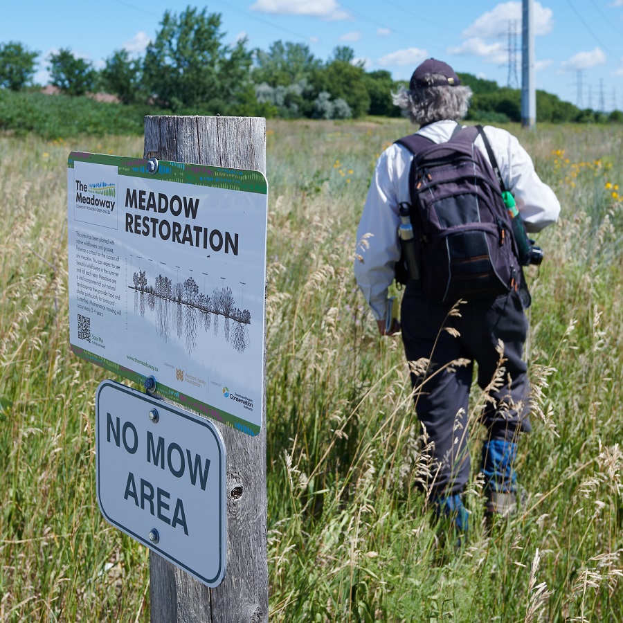 TRCA ecosystem science team member at work in The Meadoway