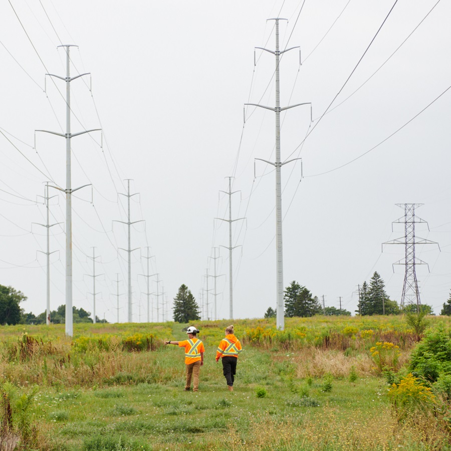 TRCA restoration team members at work in The Meadoway