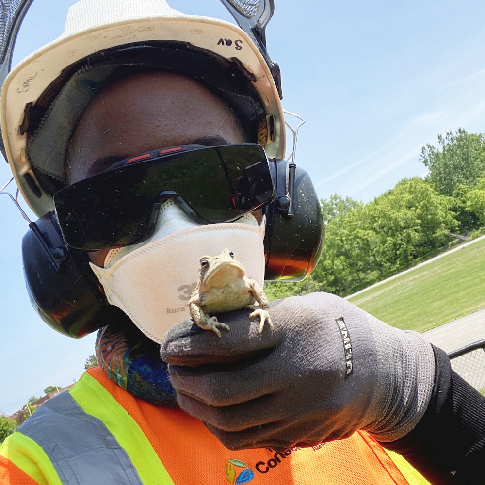 2025 Annual Report January 1 to December 31